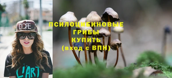 спайс Баксан