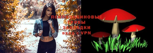 спайс Баксан